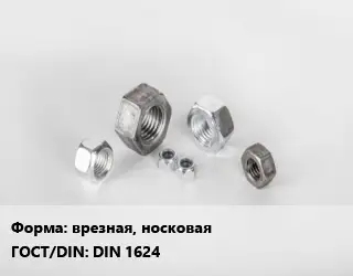 Гайка врезная, носковая DIN 1624